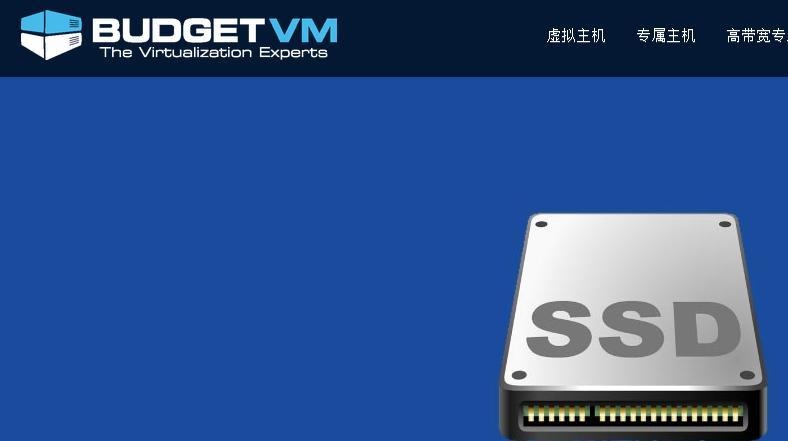 BudgetVM 大流量VPS，中文网站上线